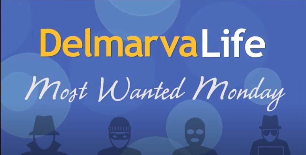 most wanted monday